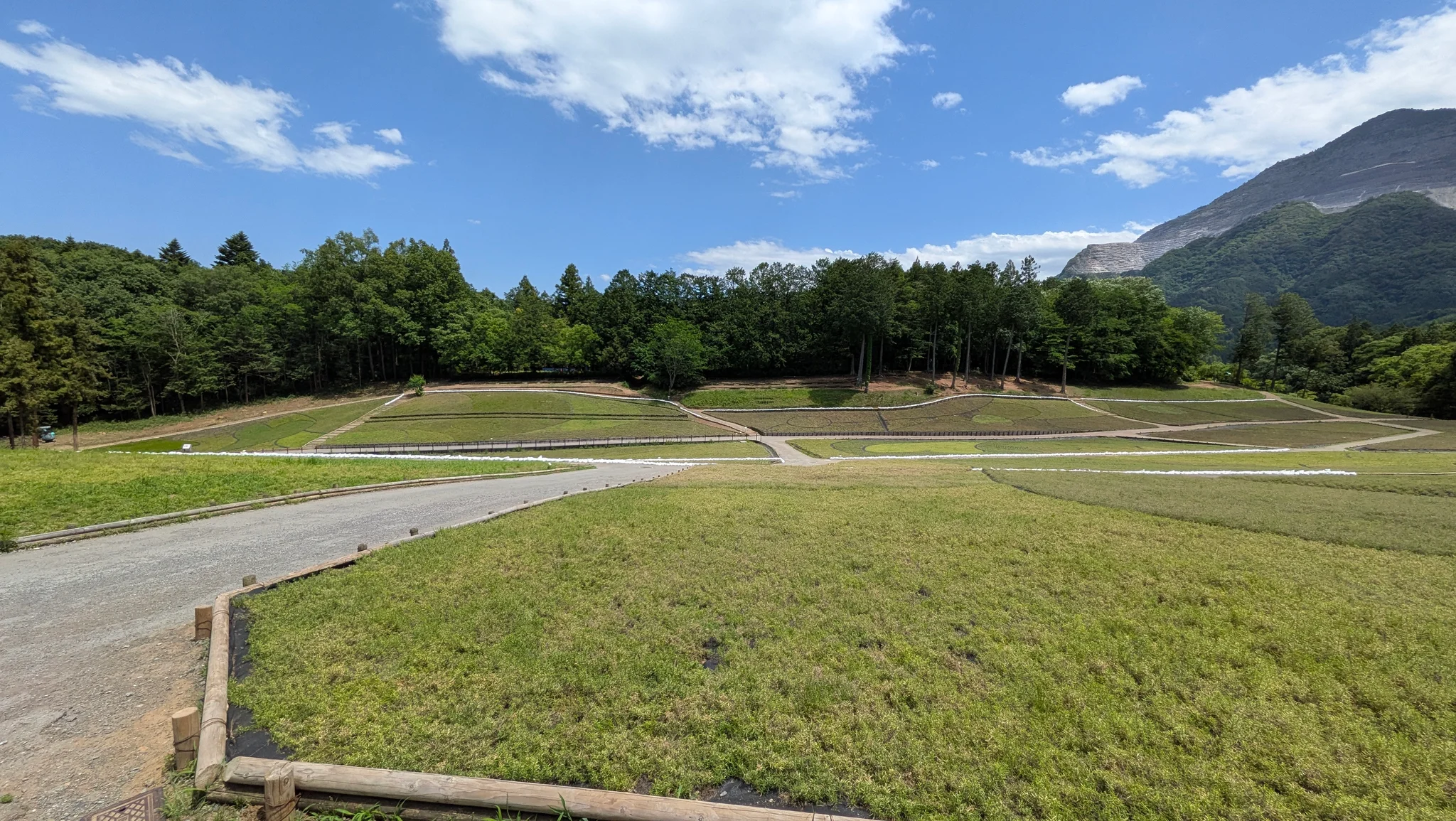 上伊那ぼたん、どこだ?