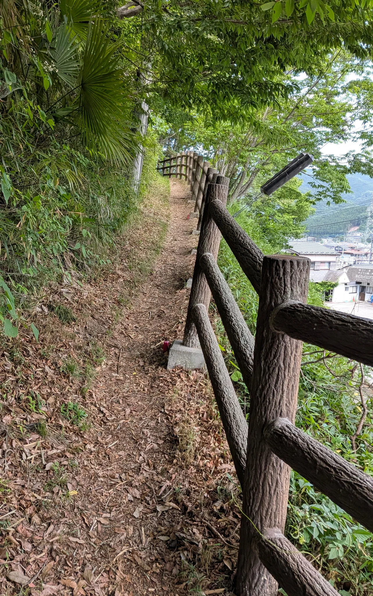 またよくわかんない道歩いてる……