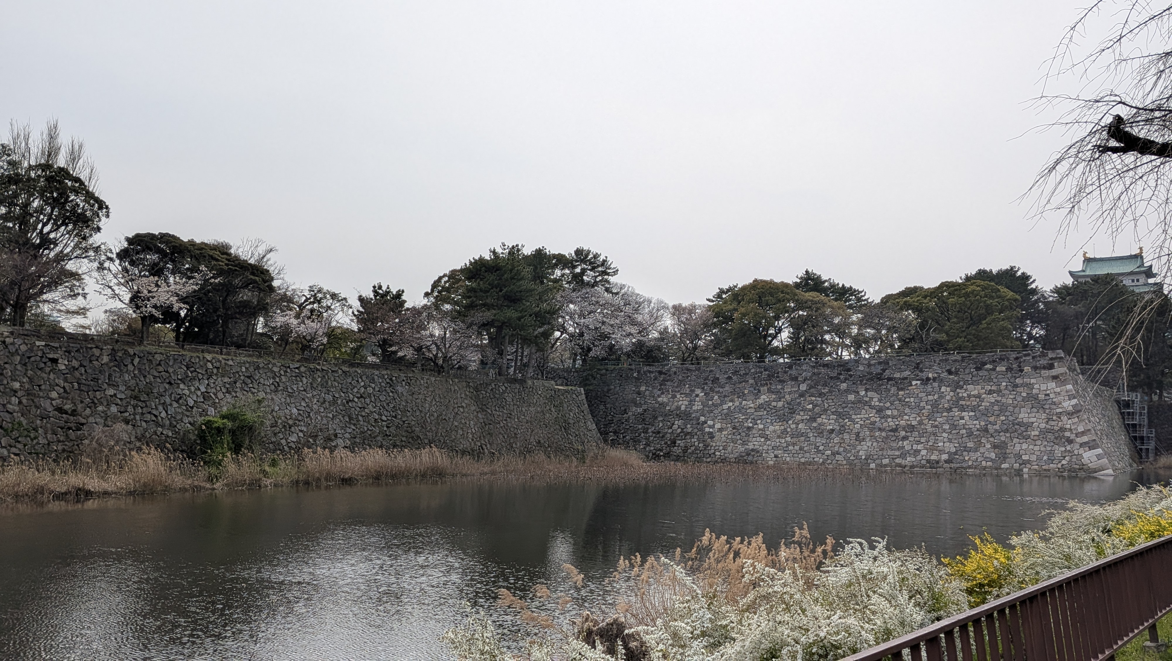 名古屋城（お堀のみ）