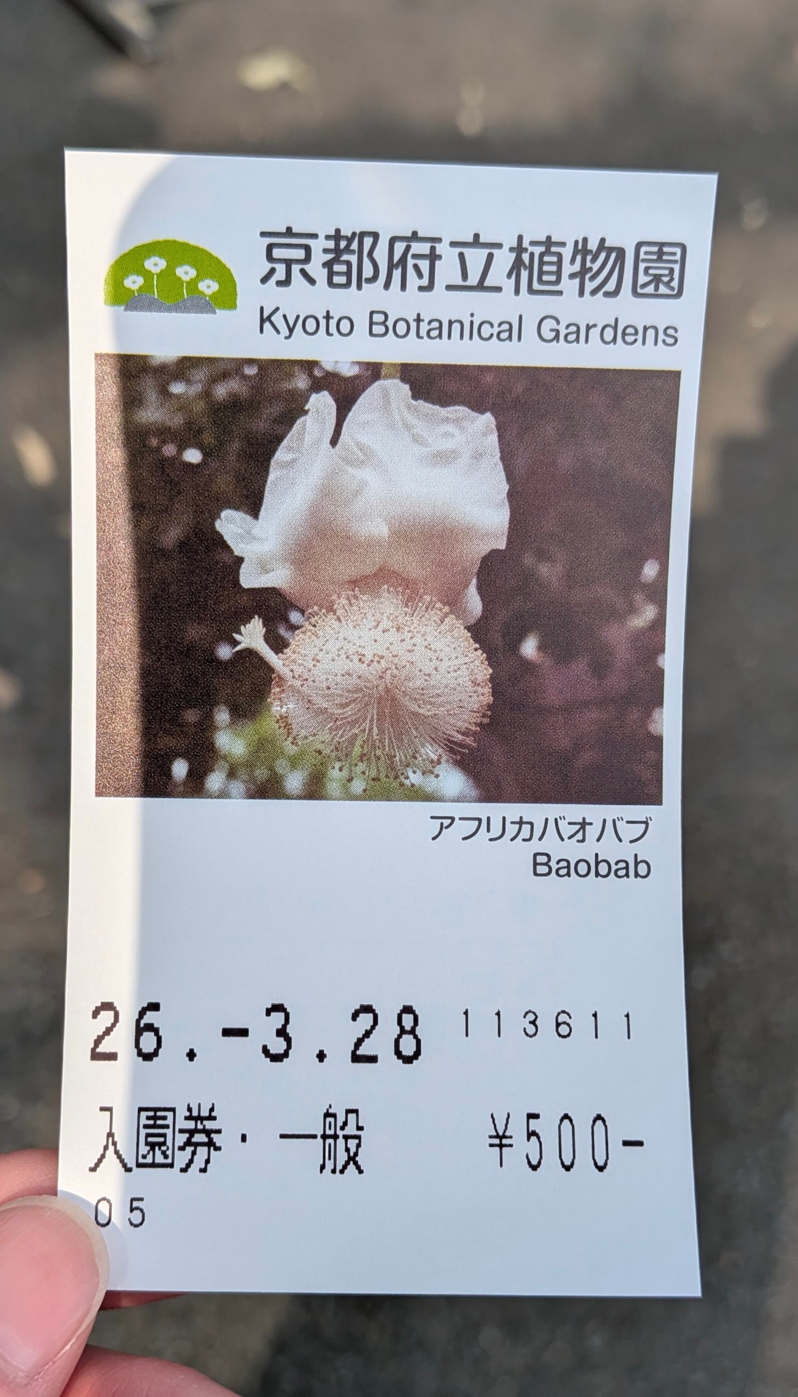 財布の現金が全然なくて結構ギリだった