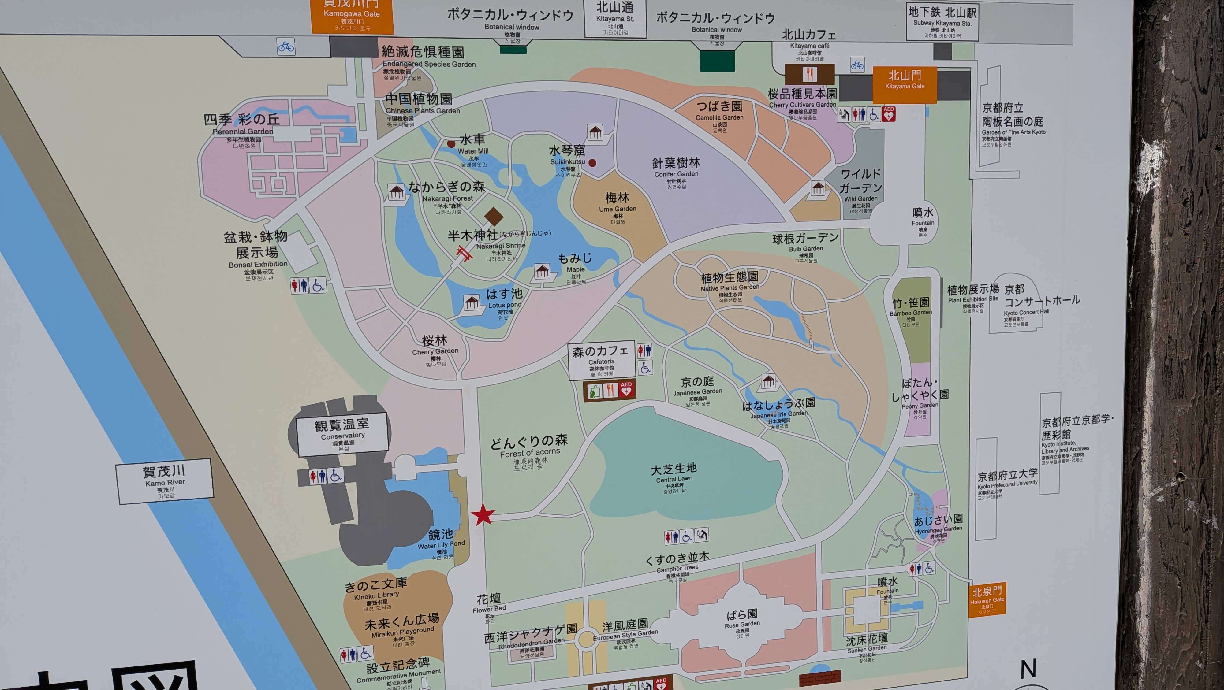 意外とデケェ！
