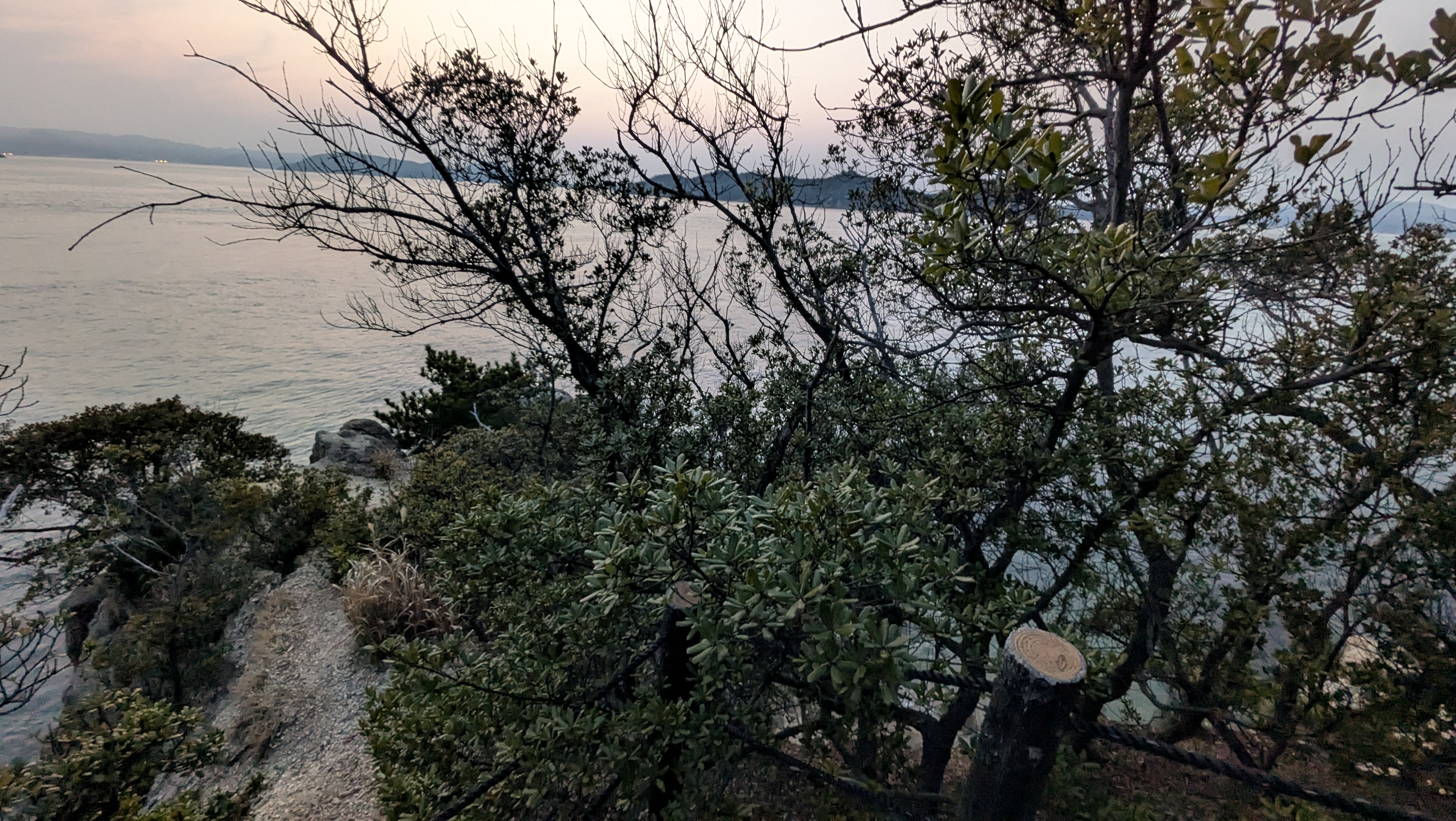 海近い、傾斜急すぎて怖い；；