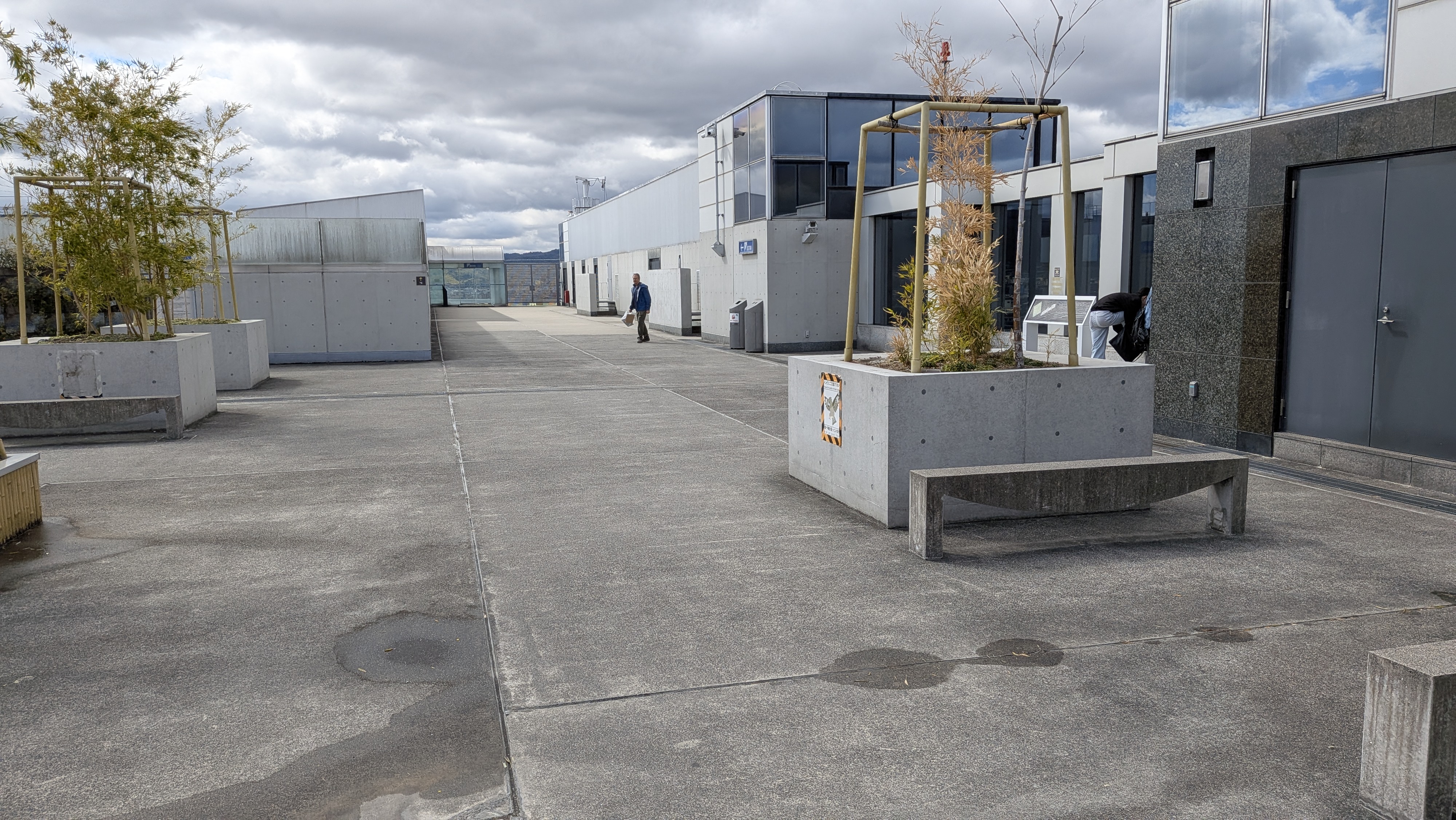 だめだよ、沙弥香