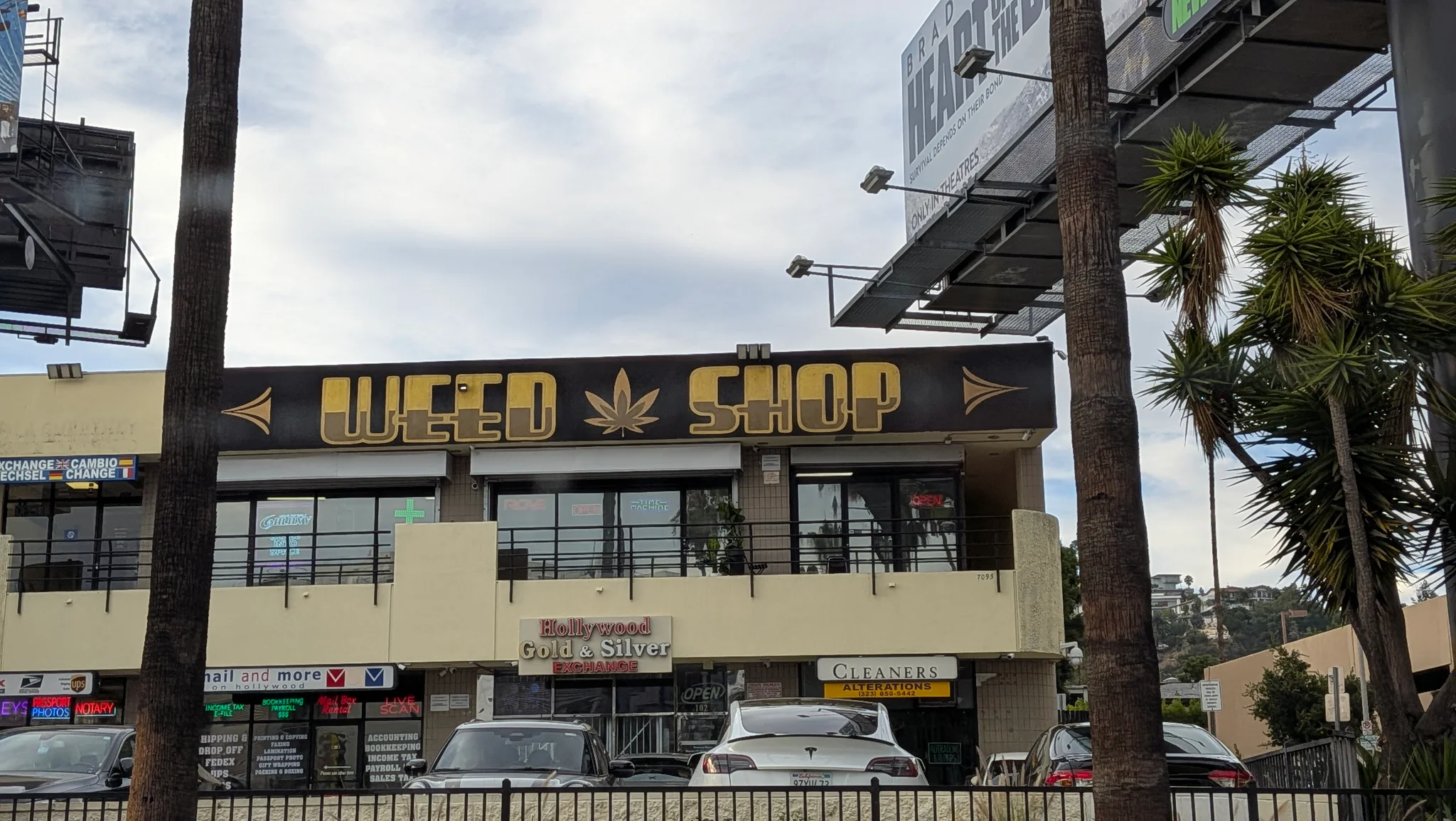 おまけ　WEEDSHOP（大迫真）