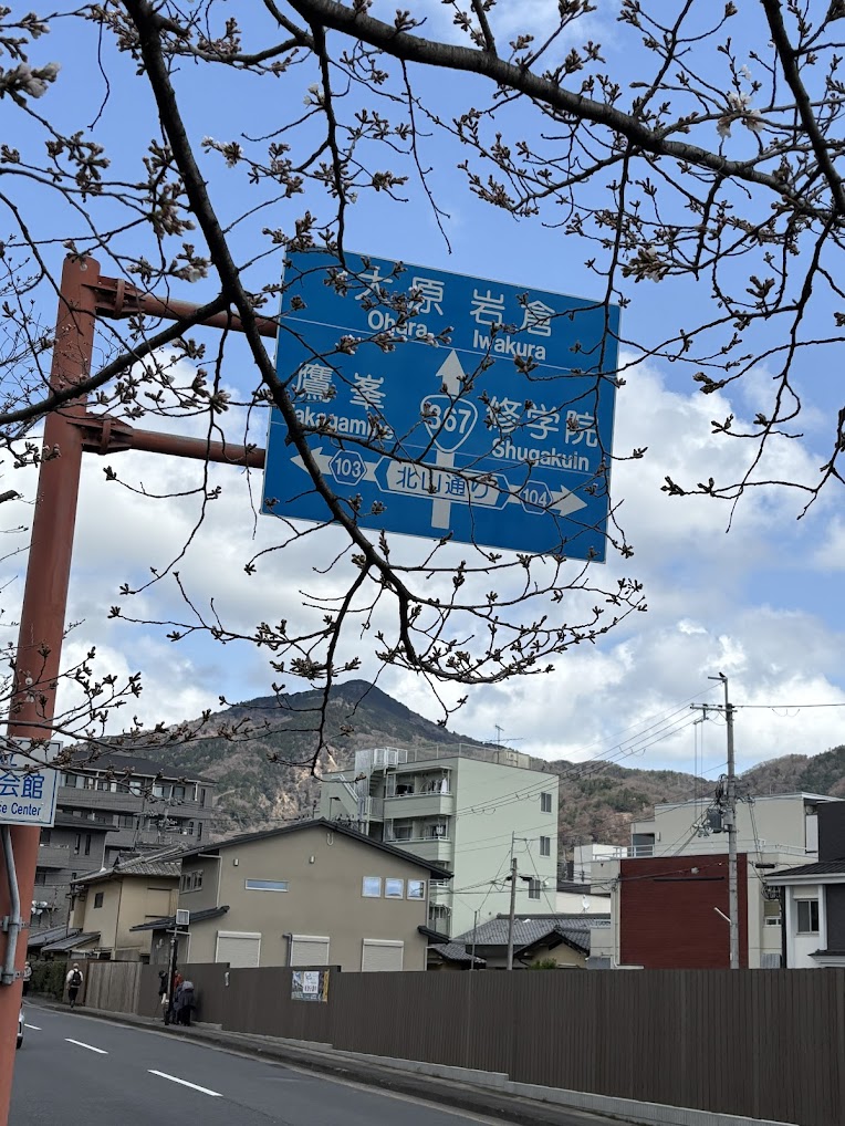 川沿い散歩、良すぎた